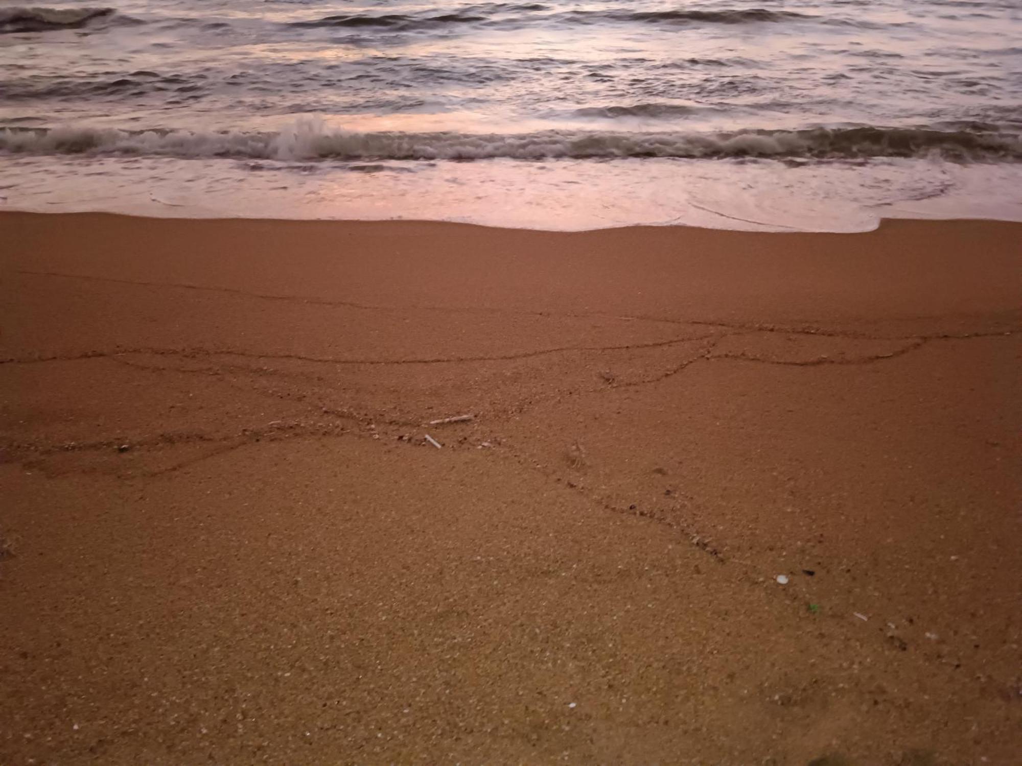 La Cozy Hotel & Restaurant Negombo Daluwekotuwa Dış mekan fotoğraf